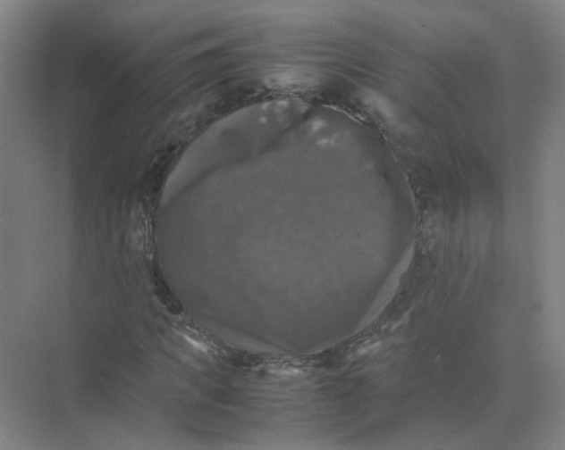 X0000074030917200609181922