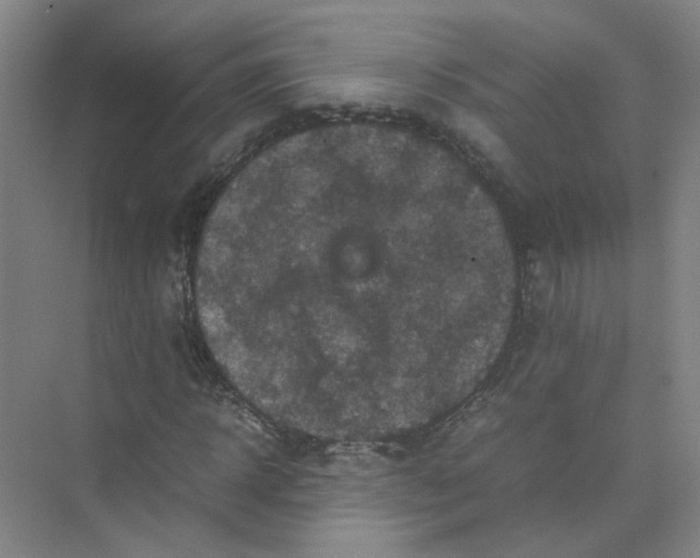 X0000074030918200609181923