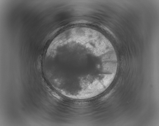 X0000074030921200609181923