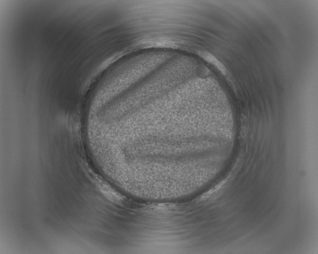 X0000074030922200609181923