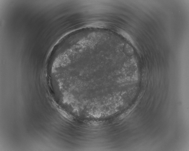 X0000074030923200609181923