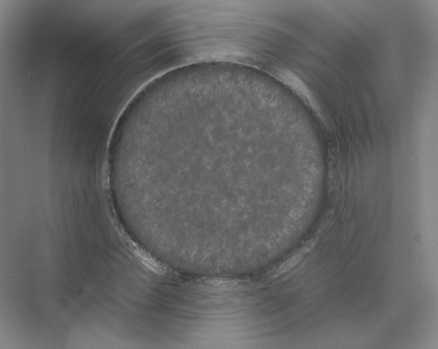 X0000074030924200609181923