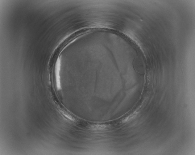 X0000074030925200609181923