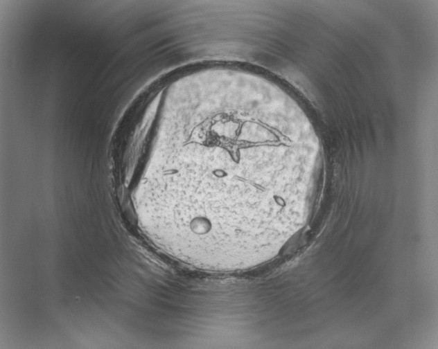 X0000074030926200609181923