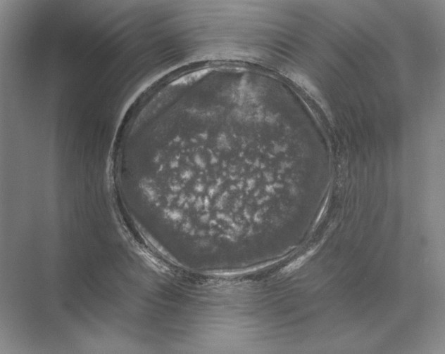 X0000074030928200609181923