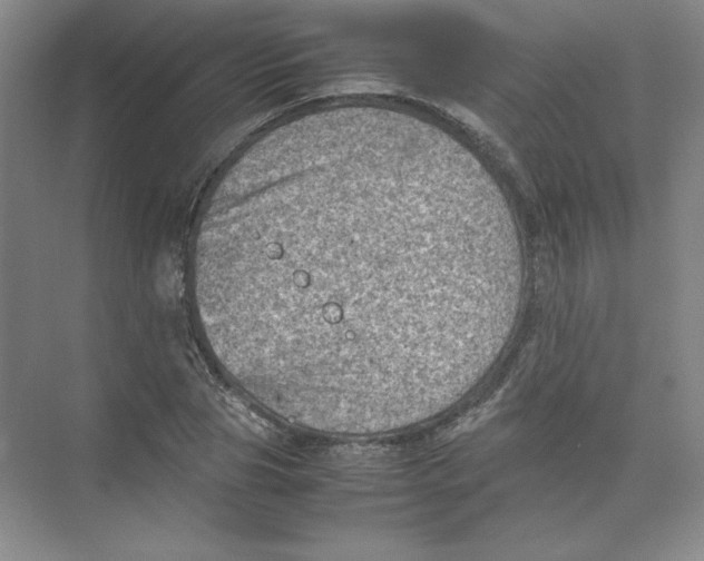 X0000074030929200609181923