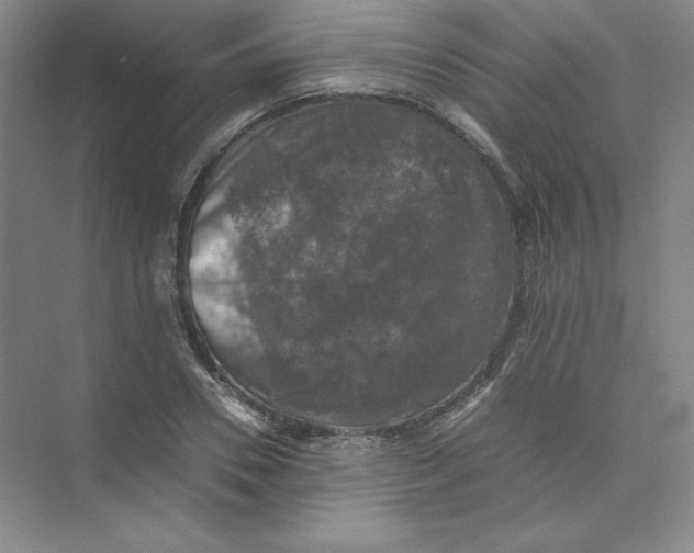 X0000074030930200609181923