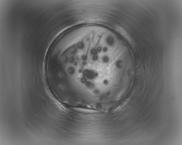 X0000074030932200609181923