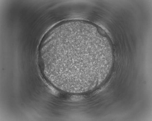 X0000074030933200609181923