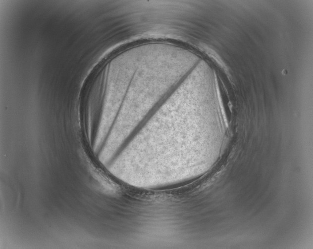 X0000074030934200609181923