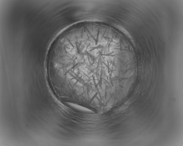 X0000074030935200609181923