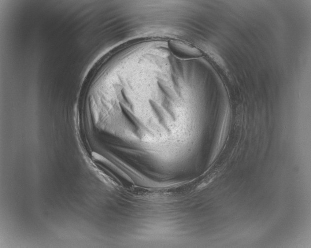 X0000074030936200609181923