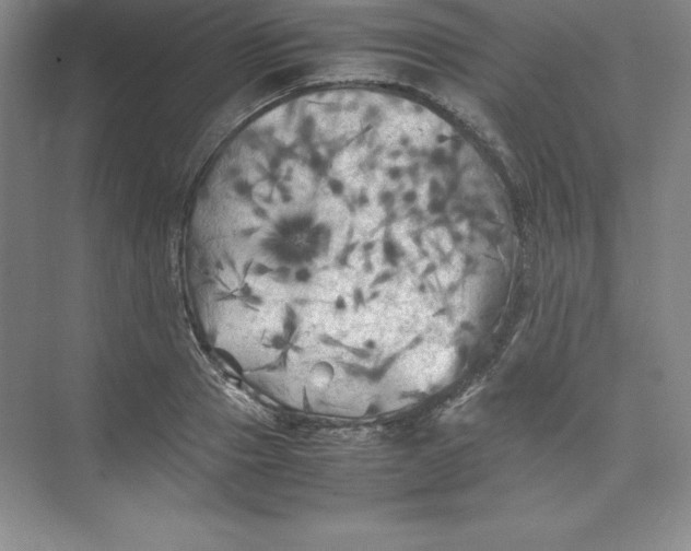 X0000074030937200609181923