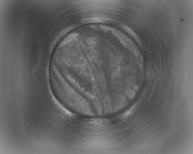 X0000074030938200609181923