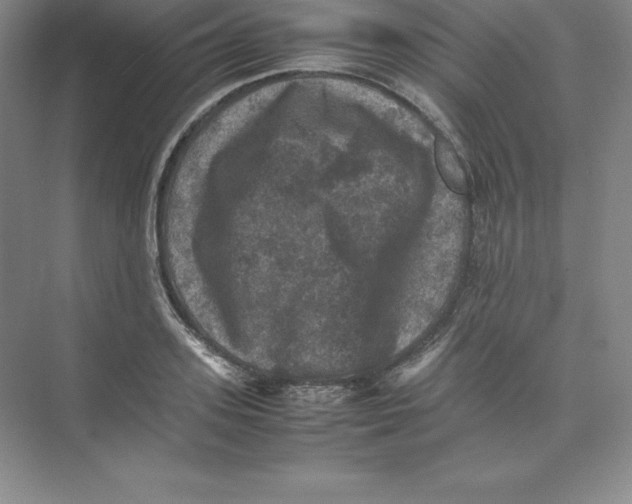 X0000074030939200609181923