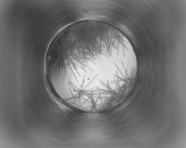 X0000074030940200609181923