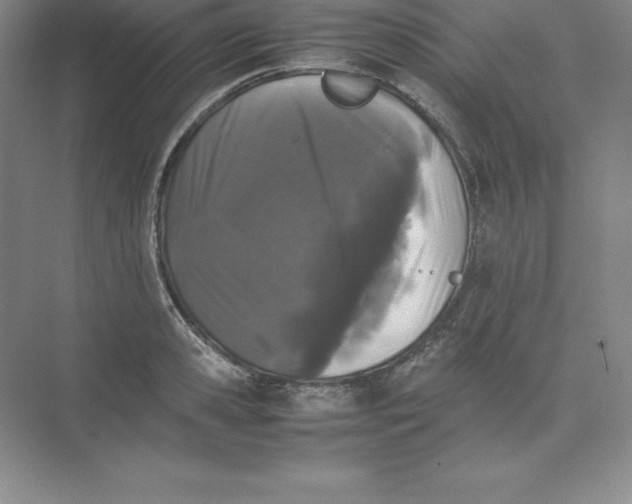 X0000074030941200609181923