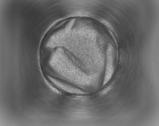 X0000074030942200609181923