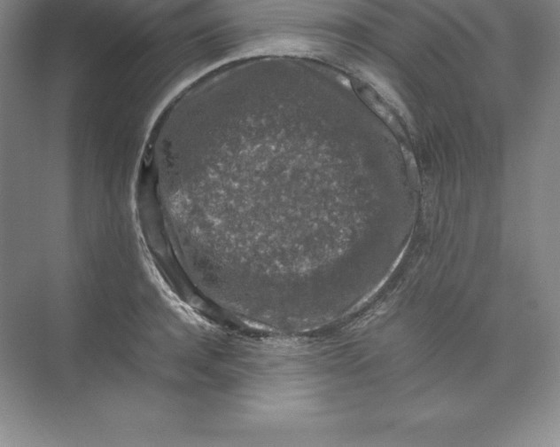 X0000074030944200609181923