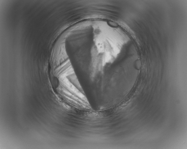 X0000074030945200609181923