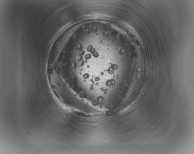 X0000074030946200609181923