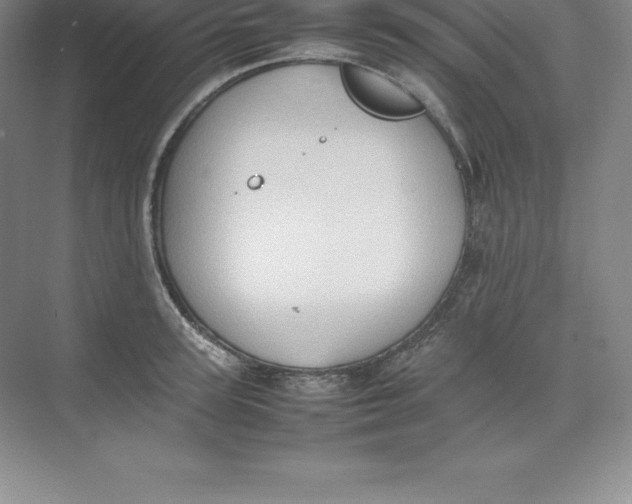 X0000074030947200609181923