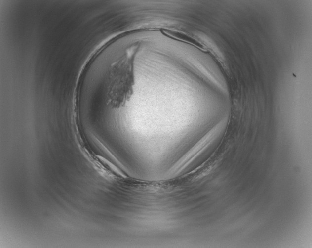 X0000074030948200609181923