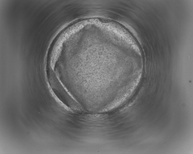 X0000074030949200609181923