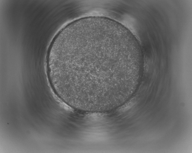 X0000074030950200609181923