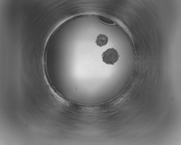 X0000074030951200609181923