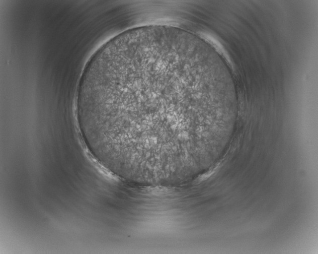 X0000074030952200609181923