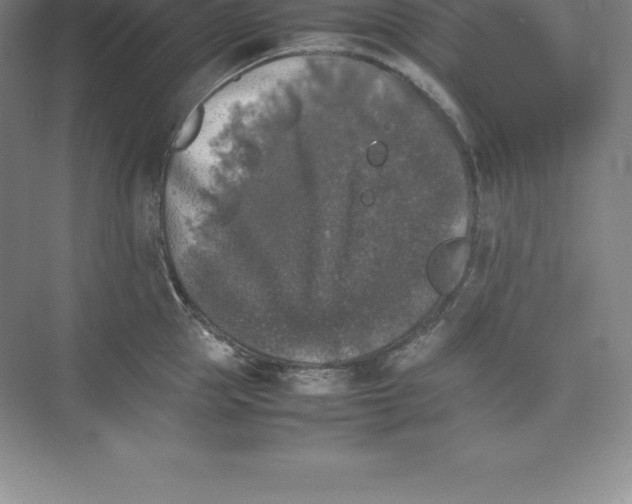 X0000074030953200609181923