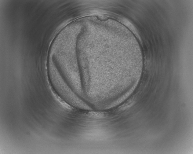 X0000074030954200609181923