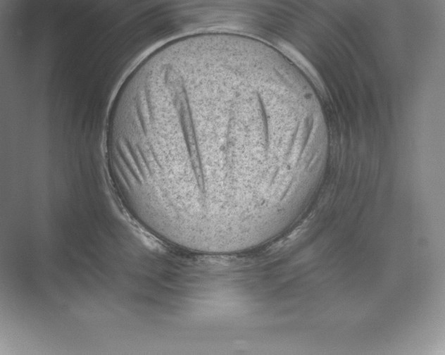 X0000074030956200609181923