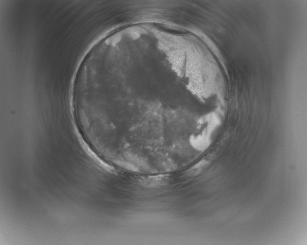 X0000074030957200609181923