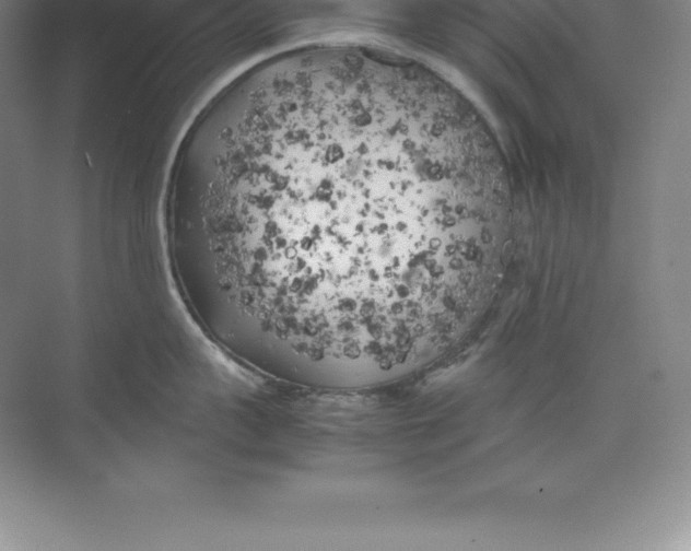 X0000074030959200609181923