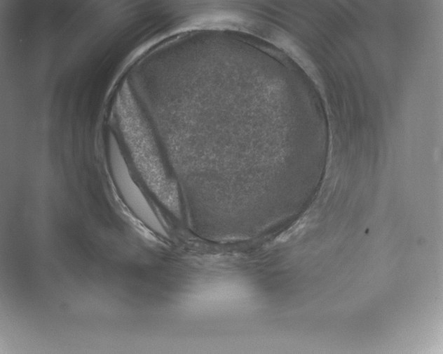 X0000074030960200609181923