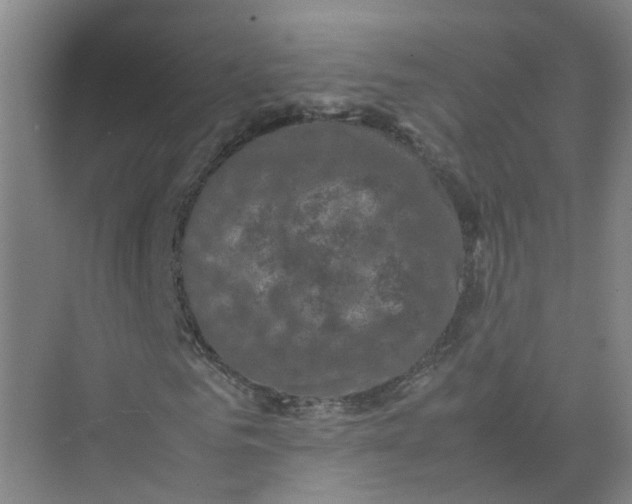 X0000074030961200609181922