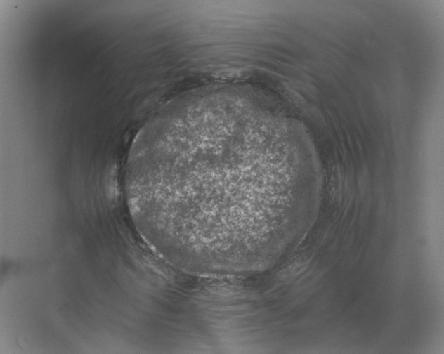 X0000074030962200609181922