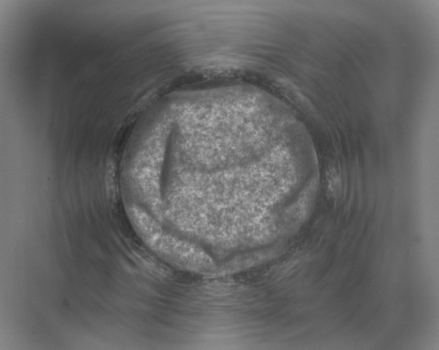 X0000074030964200609181922