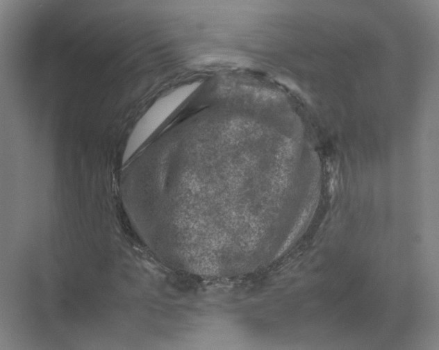 X0000074030965200609181922