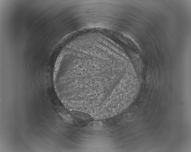 X0000074030968200609181922