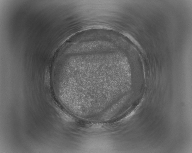 X0000074030969200609181922