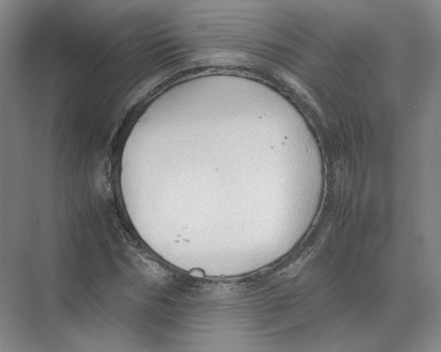 X0000074030970200609181922