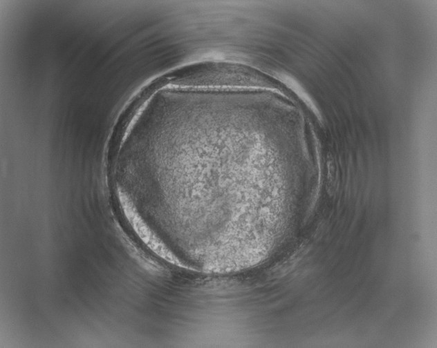 X0000074030972200609181922