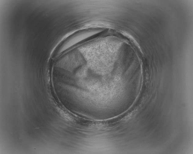 X0000074030973200609181922