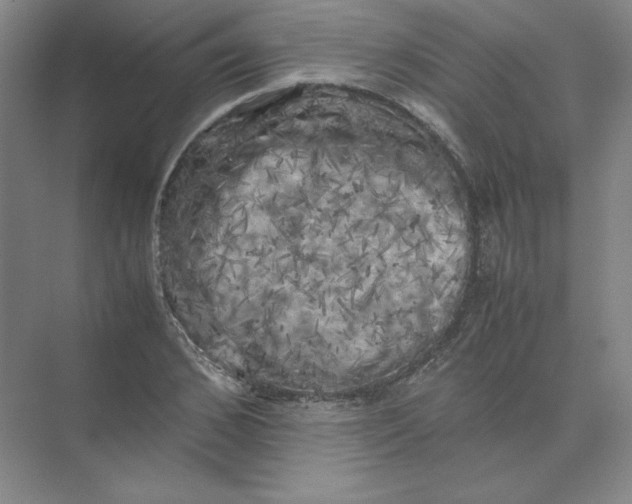 X0000074030976200609181922