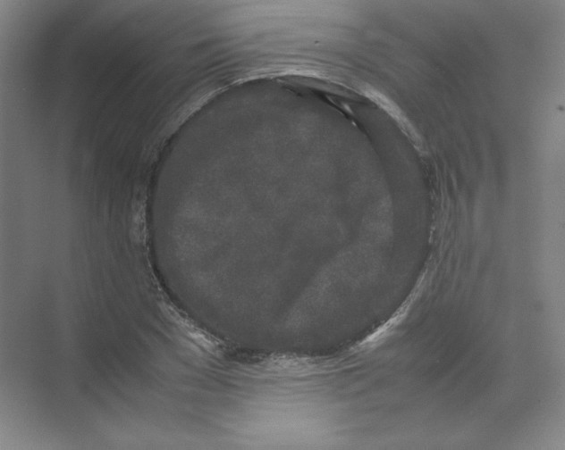 X0000074030977200609181922