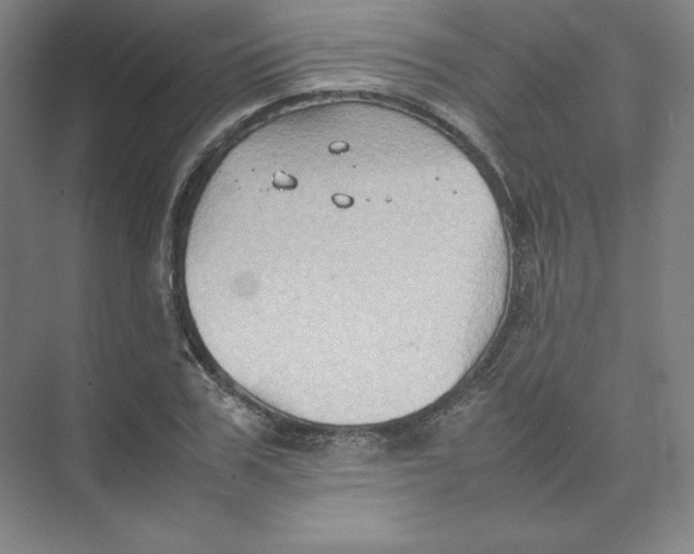 X0000074030979200609181922