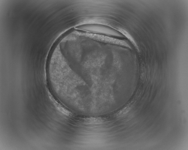 X0000074030980200609181922